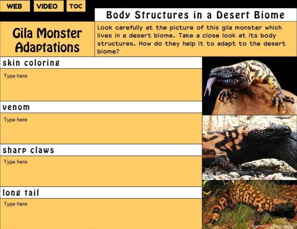 Desert Animals Adaptations Digital Notebook